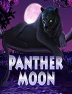 Ninja ทดลองเล่น รีวิวเกมสล็อตสุดมันจาก Jili